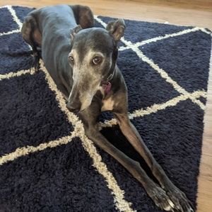 Meet your Posher, Natasha